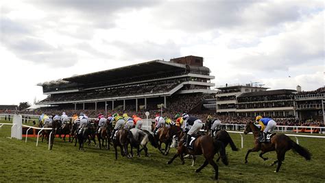 cheltenham races news|Cheltenham Racecourse .